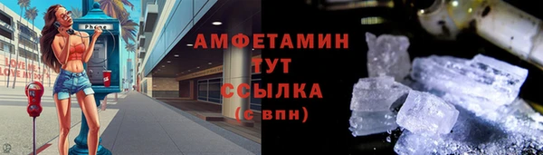 индика Белокуриха