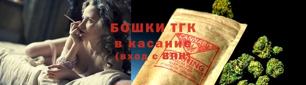 индика Белокуриха