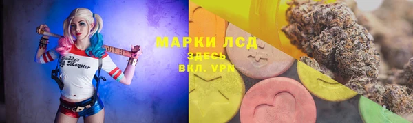 индика Белокуриха