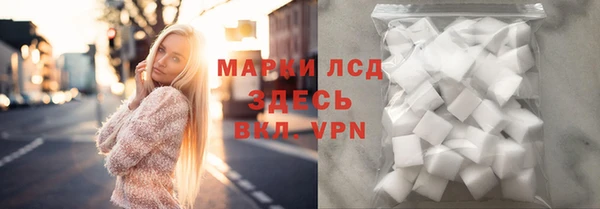 индика Белокуриха