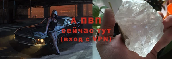 индика Белокуриха