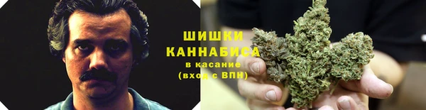 прущие крисы Баксан