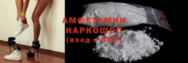 индика Белокуриха