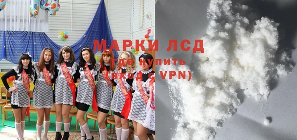 индика Белокуриха