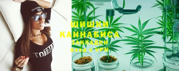 индика Белокуриха