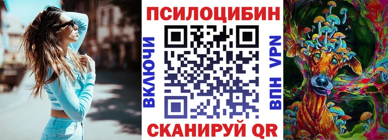 хочу   Владимир  Галлюциногенные грибы Cubensis 